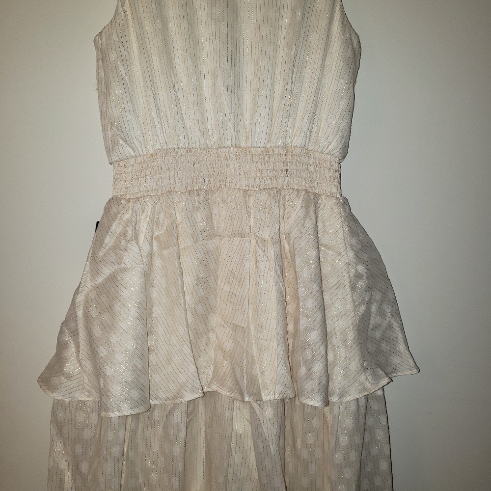 Metallic Tiered Ruffle Dress - Picture 3 of 8